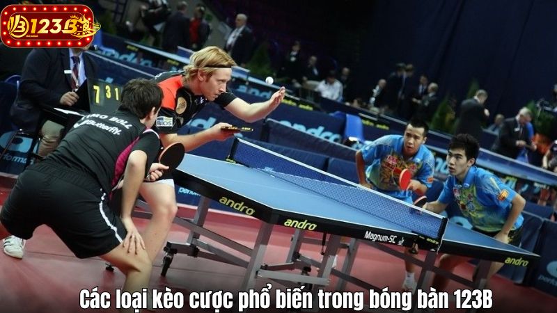 Các loại kèo cược phổ biến trong bóng bàn 123B