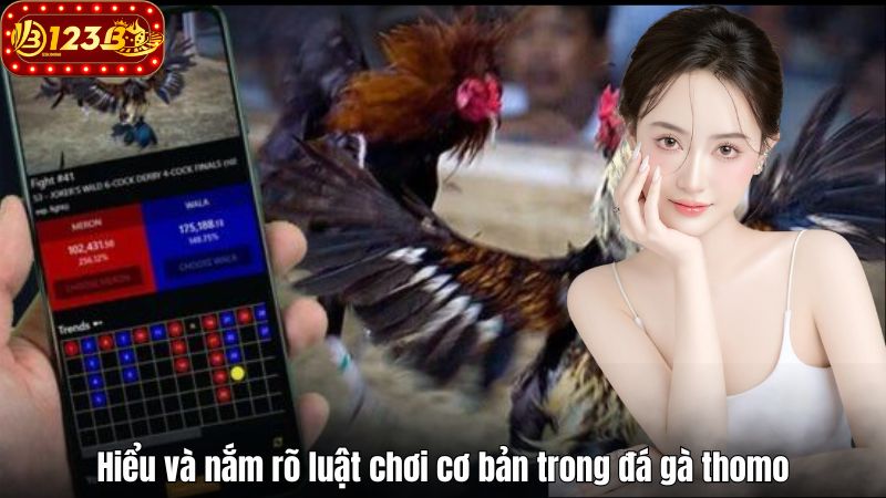 Hiểu và nắm rõ luật chơi cơ bản trong đá gà thomo